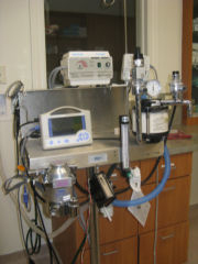 pet anesthesia monitoring